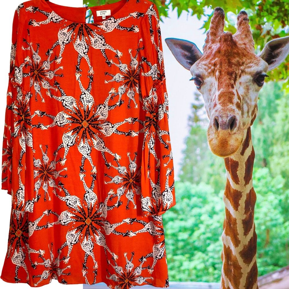 Crown & Ivy Giraffe Dress in Size 4,